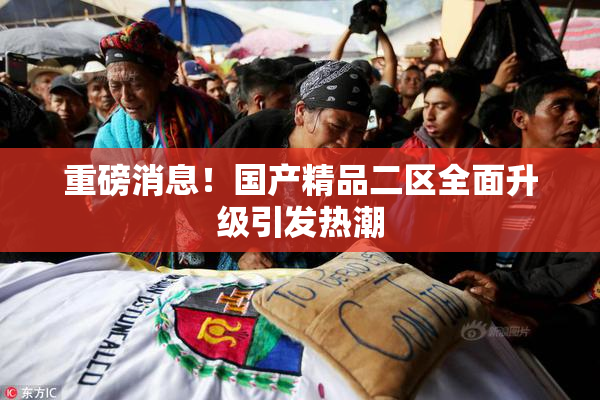 重磅消息！国产精品二区全面升级引发热潮