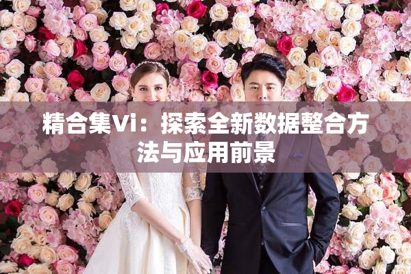 精合集Vi：探索全新数据整合方法与应用前景