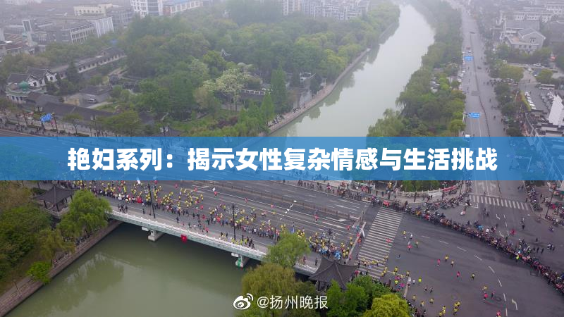 艳妇系列：揭示女性复杂情感与生活挑战