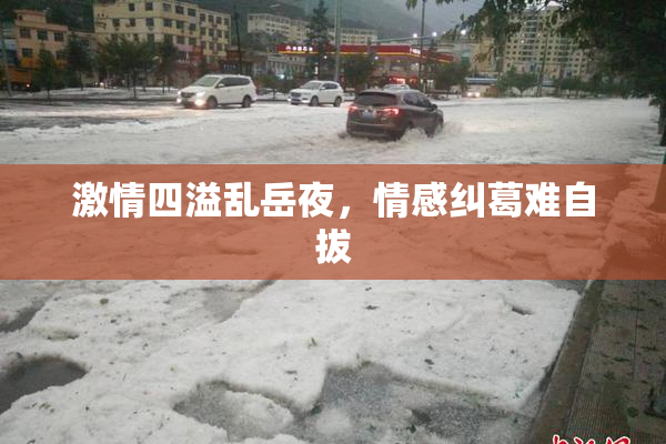 激情四溢乱岳夜，情感纠葛难自拔