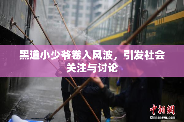 黑道小少爷卷入风波，引发社会关注与讨论