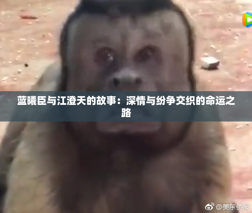 蓝曦臣与江澄天的故事：深情与纷争交织的命运之路