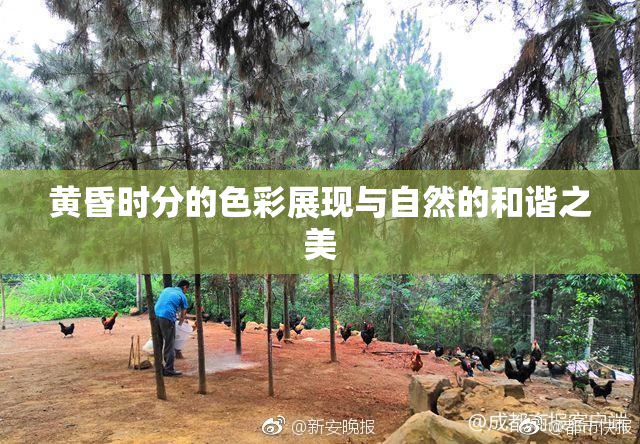 黄昏时分的色彩展现与自然的和谐之美