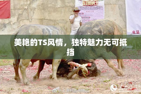 美艳的TS风情，独特魅力无可抵挡