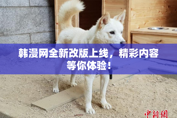 韩漫网全新改版上线，精彩内容等你体验！