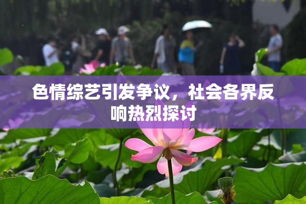色情综艺引发争议，社会各界反响热烈探讨