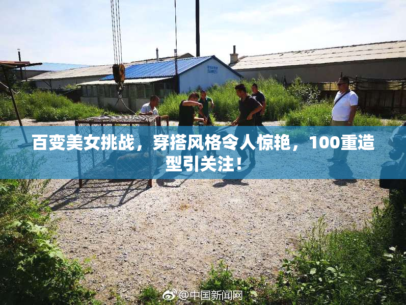 百变美女挑战，穿搭风格令人惊艳，100重造型引关注！