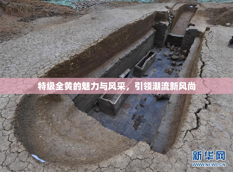 特级全黄的魅力与风采，引领潮流新风尚