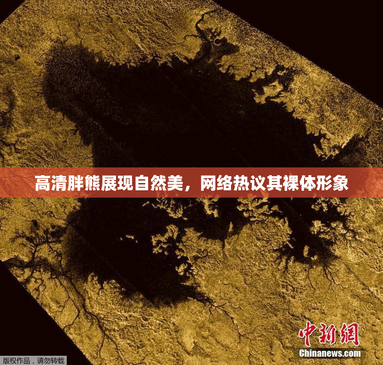 高清胖熊展现自然美，网络热议其裸体形象