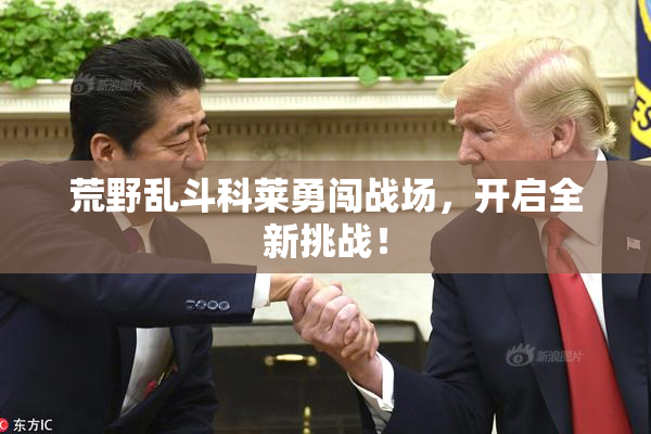 荒野乱斗科莱勇闯战场，开启全新挑战！