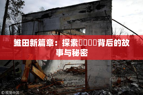 雏田新篇章：探索❌‌❌‌背后的故事与秘密