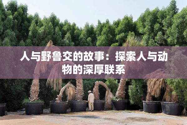 人与野鲁交的故事：探索人与动物的深厚联系