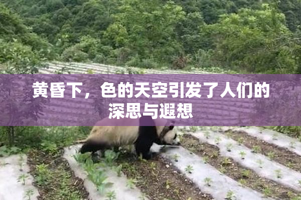 黄昏下，色的天空引发了人们的深思与遐想