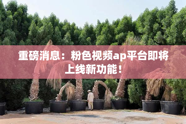 重磅消息：粉色视频ap平台即将上线新功能！