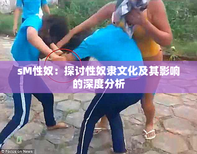 sM性奴：探讨性奴隶文化及其影响的深度分析