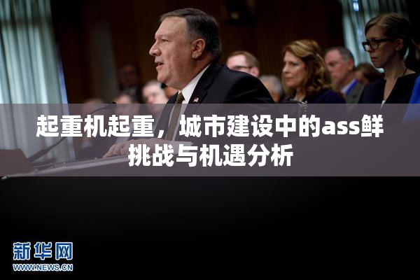 起重机起重，城市建设中的ass鲜挑战与机遇分析