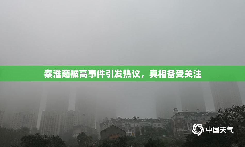 秦淮茹被高事件引发热议，真相备受关注