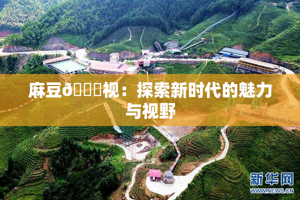 麻豆🔞视：探索新时代的魅力与视野