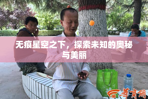 无痕星空之下，探索未知的奥秘与美丽