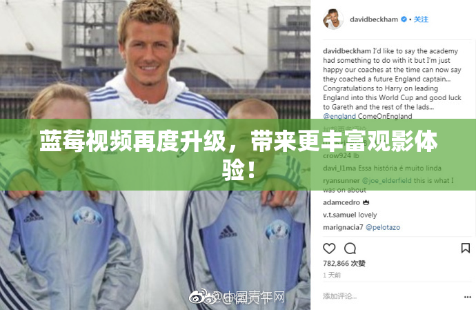 蓝莓视频再度升级，带来更丰富观影体验！