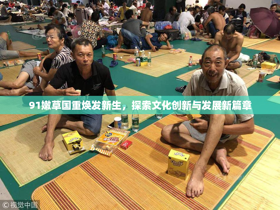 91嫩草国重焕发新生，探索文化创新与发展新篇章