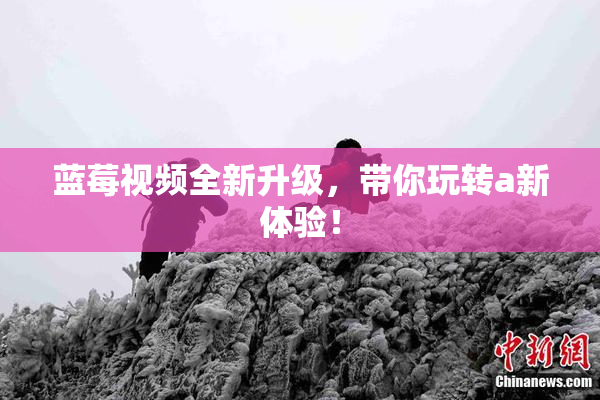 蓝莓视频全新升级，带你玩转a新体验！