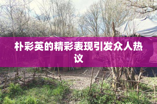 朴彩英的精彩表现引发众人热议