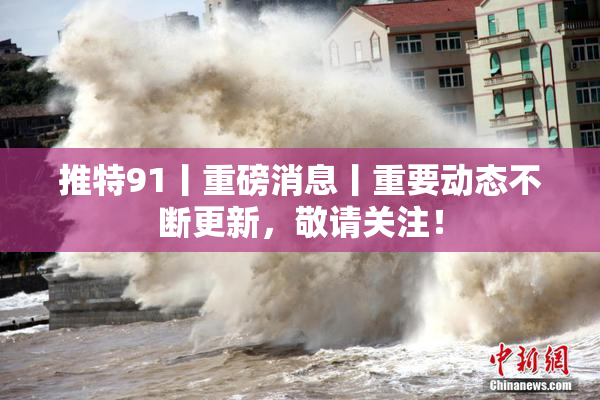 推特91丨重磅消息丨重要动态不断更新，敬请关注！