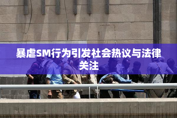 暴虐SM行为引发社会热议与法律关注