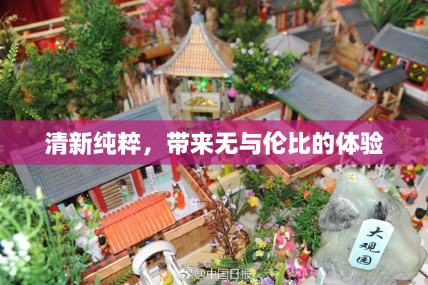 清新纯粹，带来无与伦比的体验