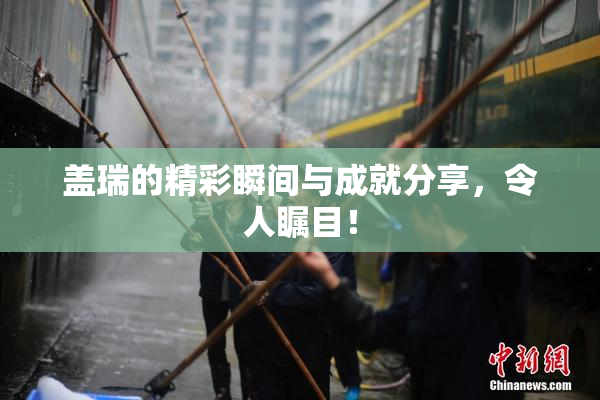 盖瑞的精彩瞬间与成就分享，令人瞩目！