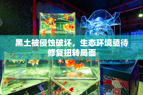 黑土被侵蚀破坏，生态环境亟待修复扭转局面