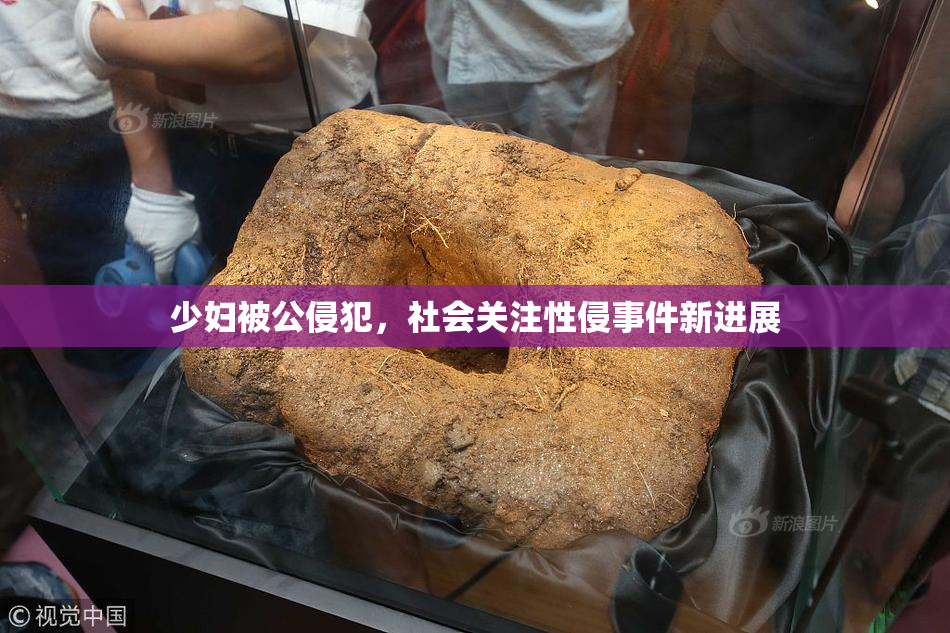 少妇被公侵犯，社会关注性侵事件新进展