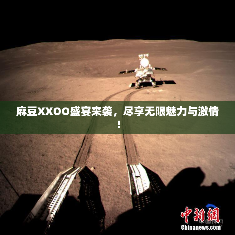 麻豆XXOO盛宴来袭，尽享无限魅力与激情！