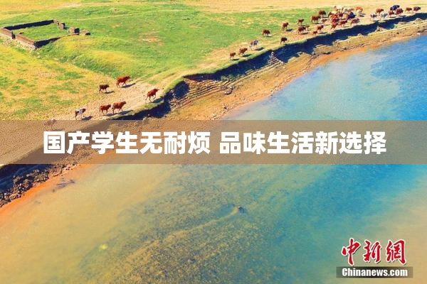 国产学生无耐烦 品味生活新选择