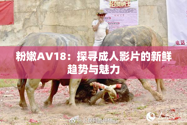 粉嫩AV18：探寻成人影片的新鲜趋势与魅力