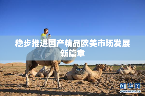 稳步推进国产精品欧美市场发展新篇章