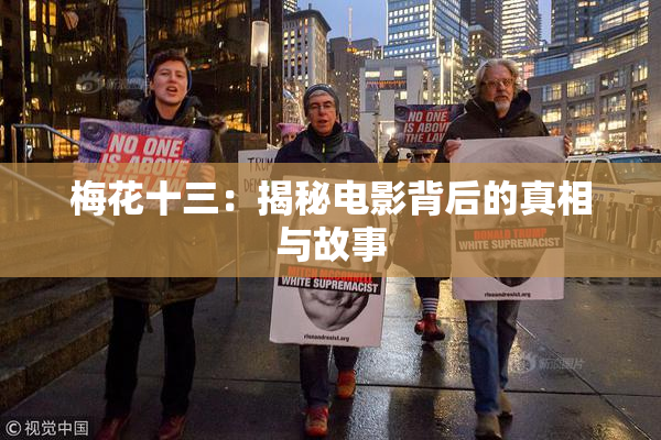 梅花十三：揭秘电影背后的真相与故事