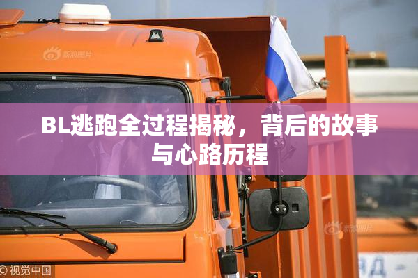BL逃跑全过程揭秘，背后的故事与心路历程