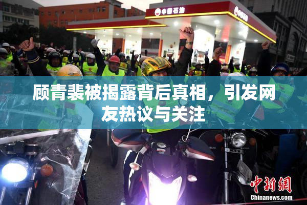 顾青裴被揭露背后真相，引发网友热议与关注