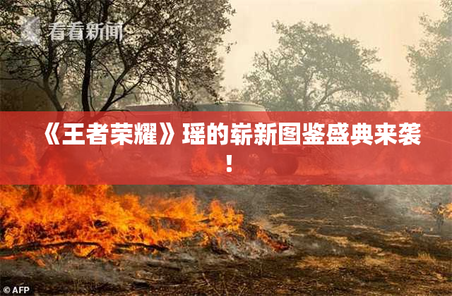 《王者荣耀》瑶的崭新图鉴盛典来袭！