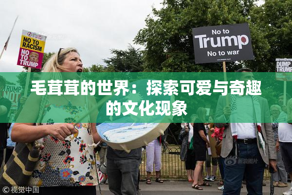 毛茸茸的世界：探索可爱与奇趣的文化现象