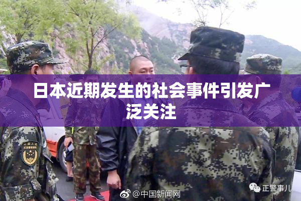 日本近期发生的社会事件引发广泛关注