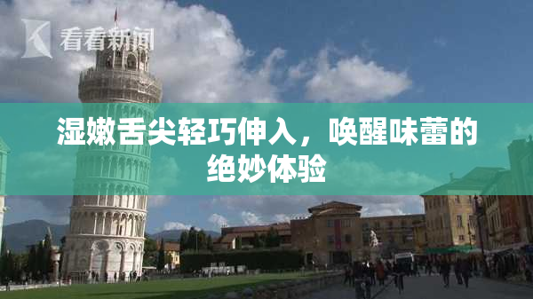 湿嫩舌尖轻巧伸入，唤醒味蕾的绝妙体验