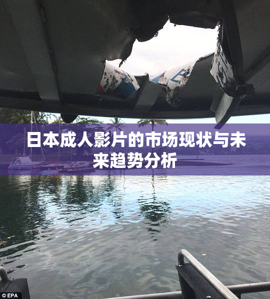 日本成人影片的市场现状与未来趋势分析