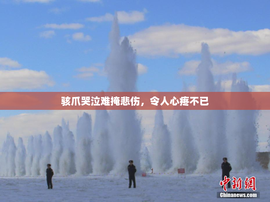 骇爪哭泣难掩悲伤，令人心疼不已