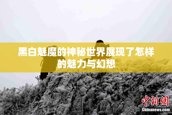 黑白魅魔的神秘世界展现了怎样的魅力与幻想