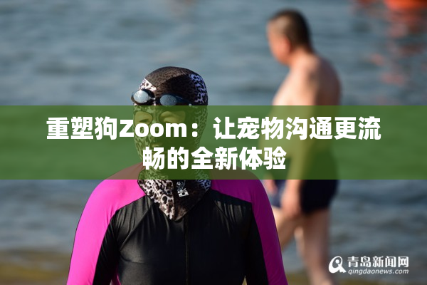 重塑狗Zoom：让宠物沟通更流畅的全新体验