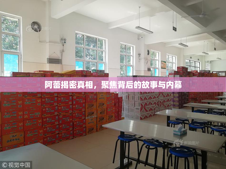 阿蕾揭密真相，聚焦背后的故事与内幕