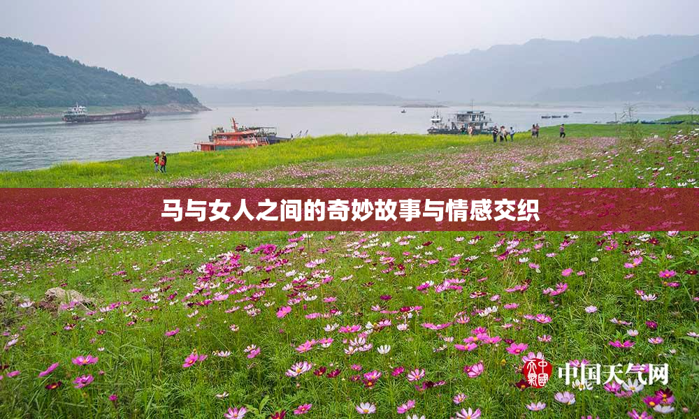 马与女人之间的奇妙故事与情感交织